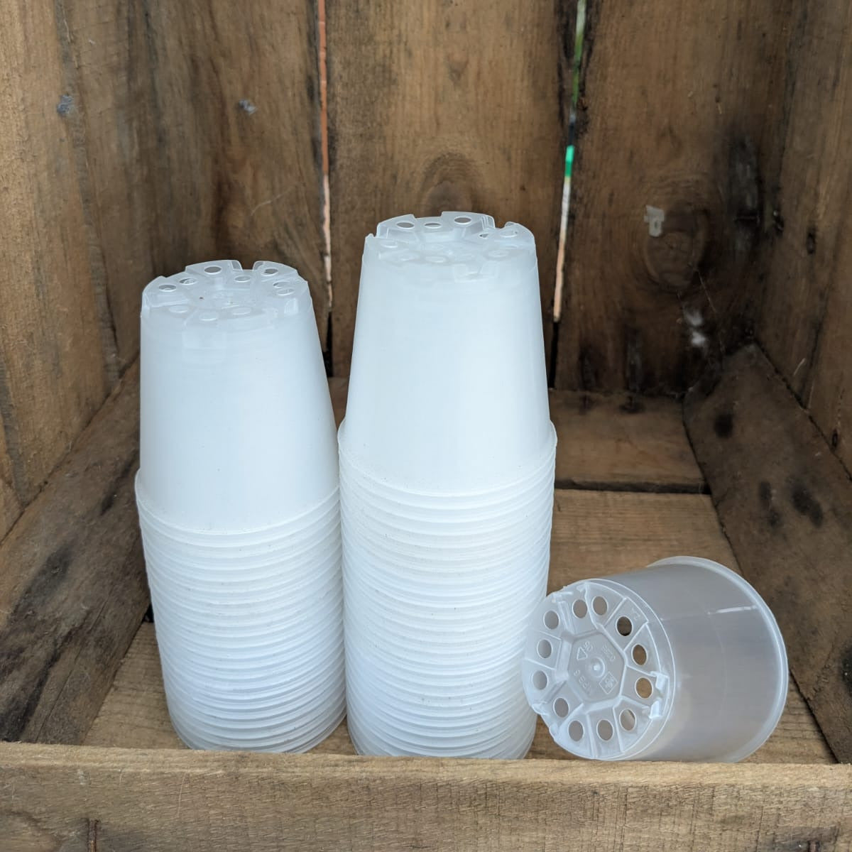 8 cm transparent pots