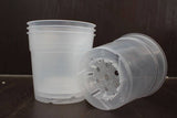 Pots transparents 12 cm